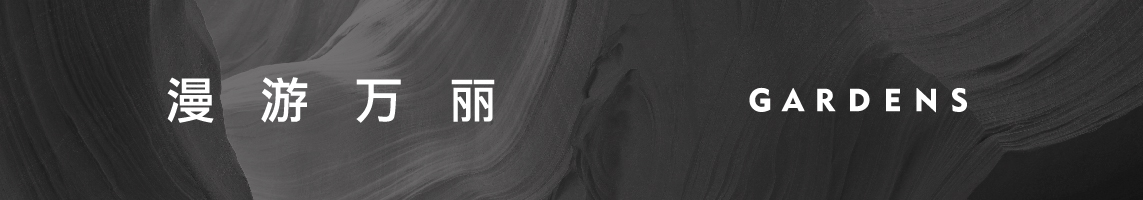 漫游万丽